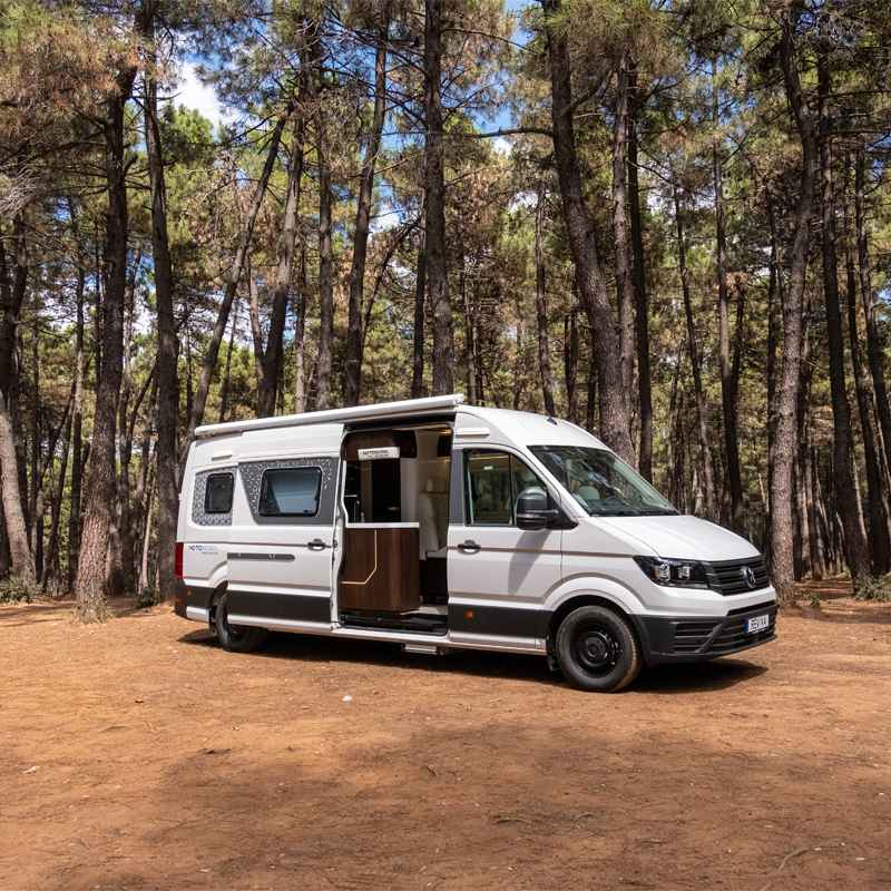 reviva-800x800-dis-1